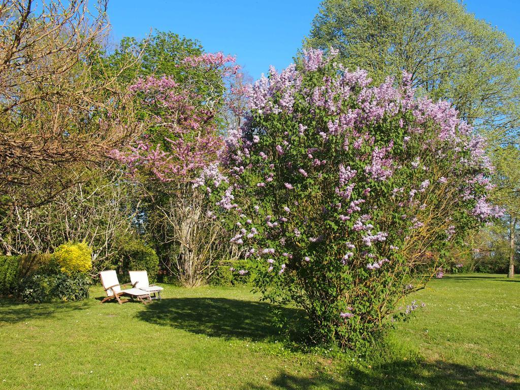 Gite De Charme Au Bord Du Tarn Marssac-sur-Tarn Ngoại thất bức ảnh